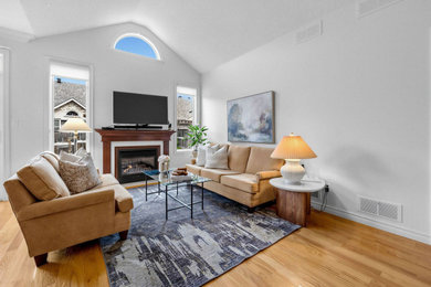 Living room - transitional living room idea in Other