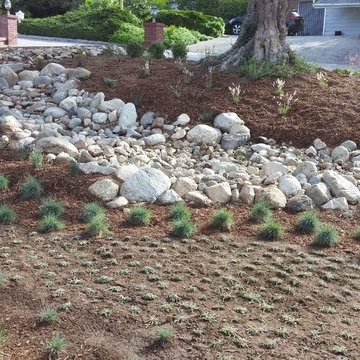 La Crescenta River Bed Project