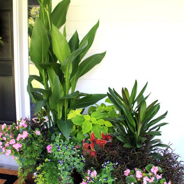 Summer Container Gardens