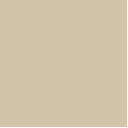 Benjamin Moore Crisp Khaki - Paint