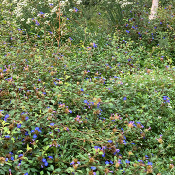 giardino contemporaneo a basso impatto ambientale
