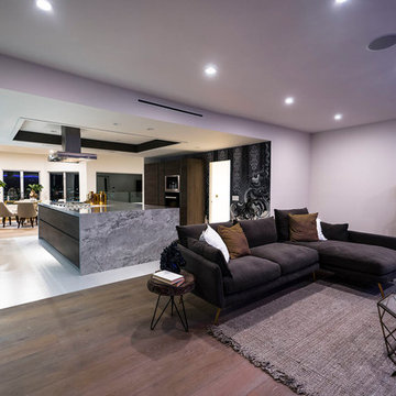 Splendor Modern House in Glendale CA