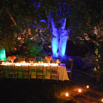 BlissLights Weddings