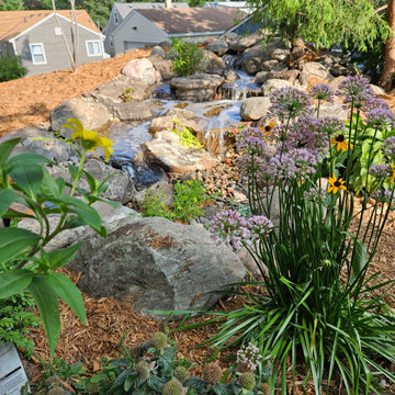 Pond Renovation