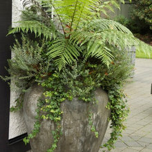Outdoor Patios