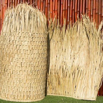 Palapas
