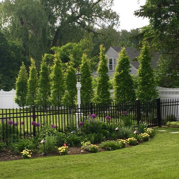 Beautiful Green Hedge