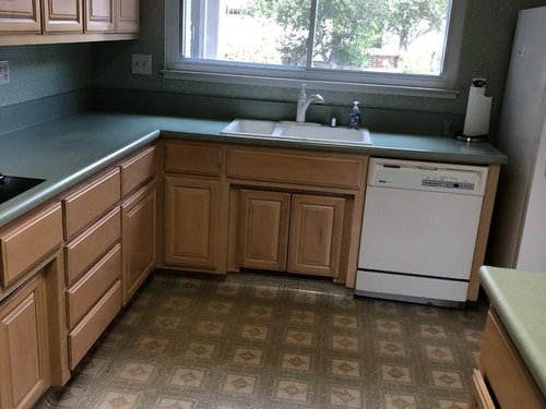 1980's kitchen has sage countertops. Can't renovate now, so.....