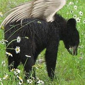 Dana Larson's photo