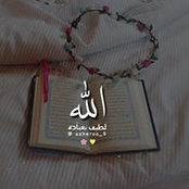 Alaa Ysfs billede