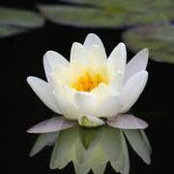 Karen Storminger's photo