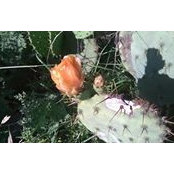 Sandra Vance's photo
