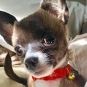 Gracie Quaschnick's photo
