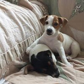 Sharon Schubert's photo