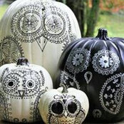 Crystal Hatton's photo
