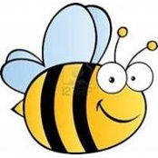 Photo de Bee Lan Teng