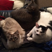 M Calvert's photo