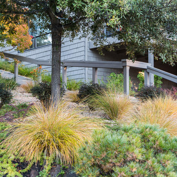 Orinda 6