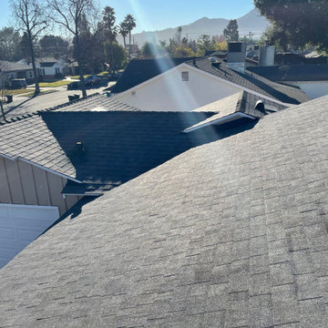 Burbank Shingles Roof Project