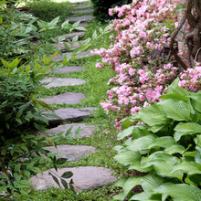 walkway