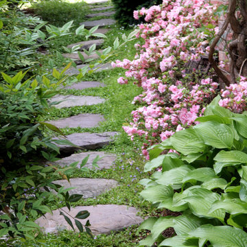 Stepping Stone Path