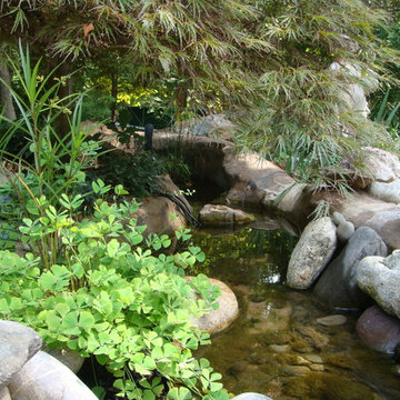 Stone Pool with Water Slide