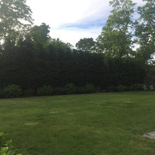 A privacy hedge