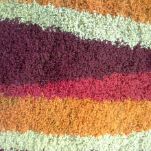rug idea