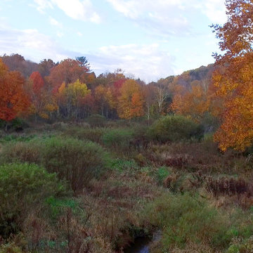 Stone House Farm - 2123 South Britain Rd, Southbury, CT
