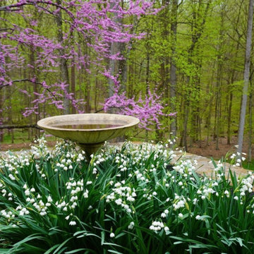 Landscaping Highlights