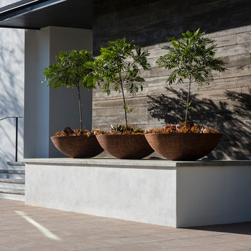 Mexican Modern