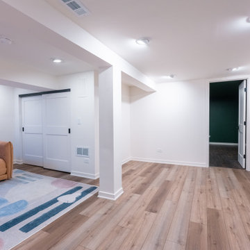 Luxury Basement Finishing Chicgo I $150K Moder Transformation