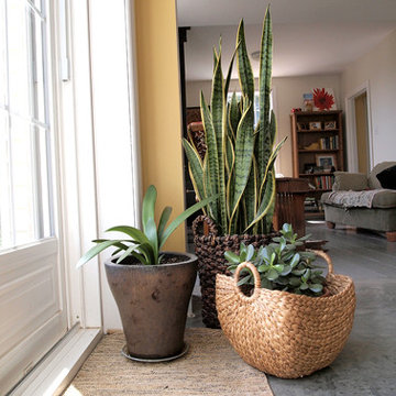 Our House Renovation: Kitchen Entryway