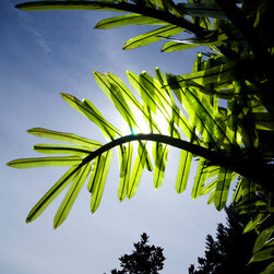 LED Realistic Palm Tree - Products