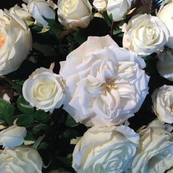 Inspiration is in the Details.... - Products