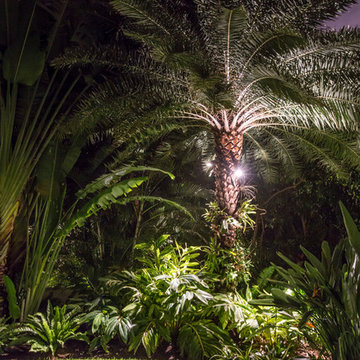 South Florida Sandy Hammock and Grass Yard in Delray Beach