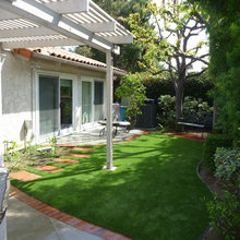 grass for front yard