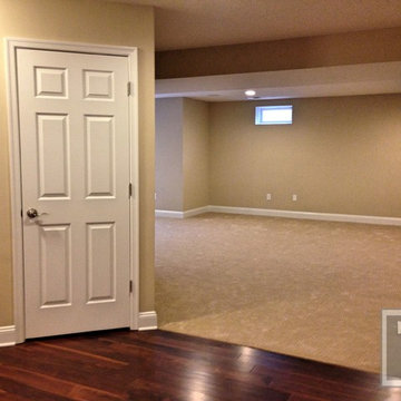 Basement with Kids Area