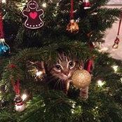 Bethanie Mantin's photo