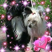 Елена Романова's photo