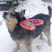 Christel Babisky's photo