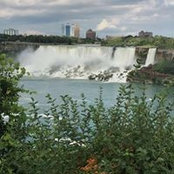 Jackie Searles's photo