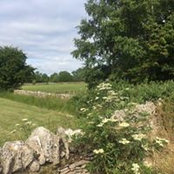 Mark Mayall's photo