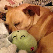 Betsy Bergeron's photo