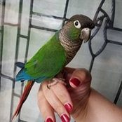 Mary Jane Reed's photo