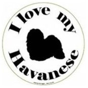 Stacy Roussos's photo