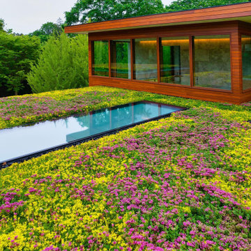 SkyFloor Walkable Skylights Series