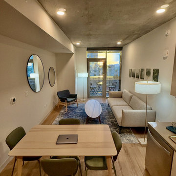 A Design Blitz Miracle — Sol Modern, Phoenix, Arizona.