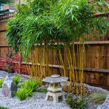 Zen Garden
