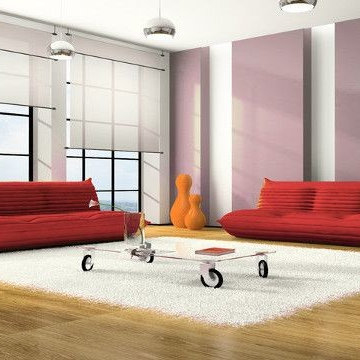 Motorization & Roller Shades